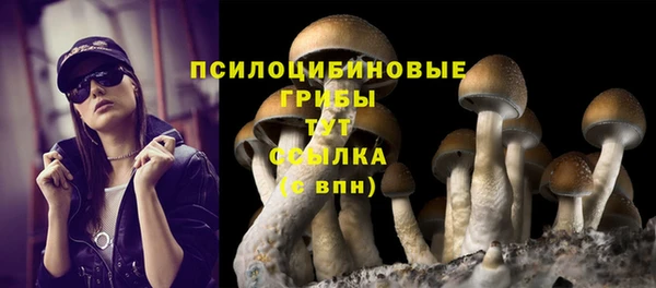 гидропоника Абаза