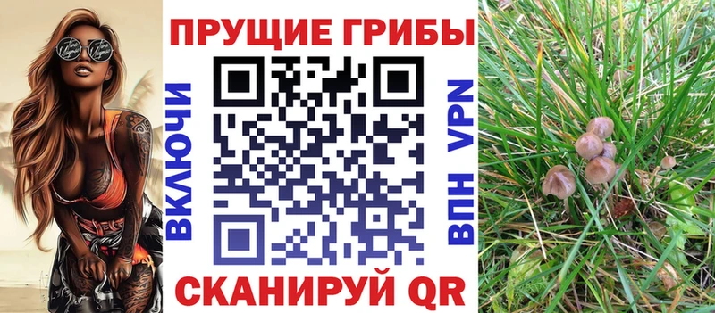 гидра зеркало  Тутаев  Галлюциногенные грибы MAGIC MUSHROOMS 