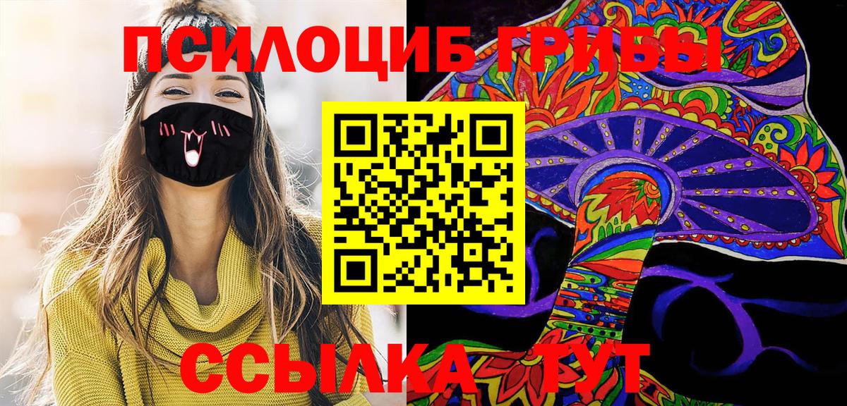 Тутаев  Псилоцибиновые грибы Psilocybine cubensis  Вход с VPN 