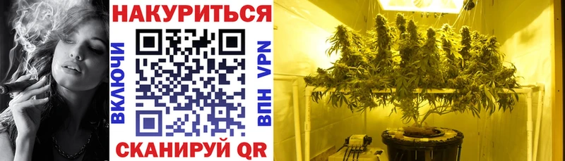 ОМГ ОМГ ONION  купить  сайты  Тутаев  Бошки марихуана AK-47 